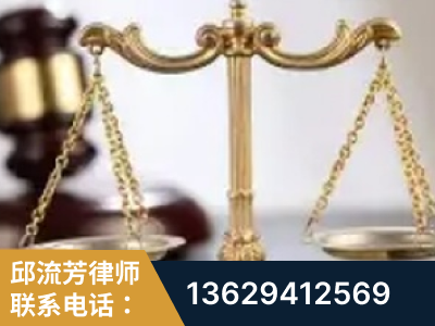 泰安-委托诉讼代理人出庭